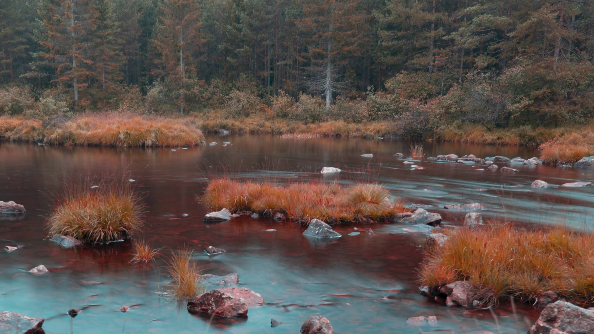 A Shallow River With Rocky Bottom Hassocks Stock Footage SBV-352553693 ...