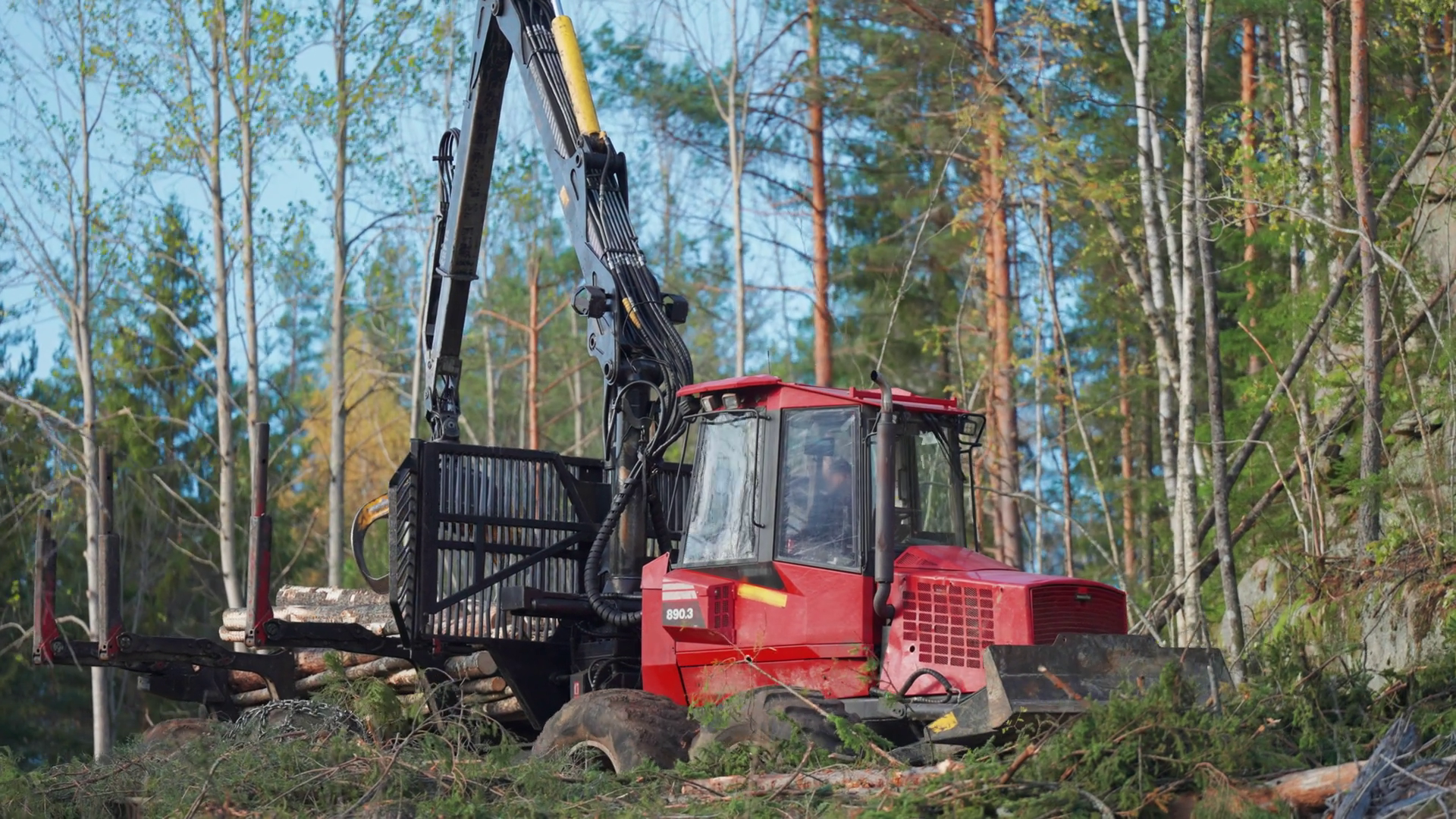 A Modern Logging Machine Fells Limbs Cuts Stock Footage SBV-352364612 ...