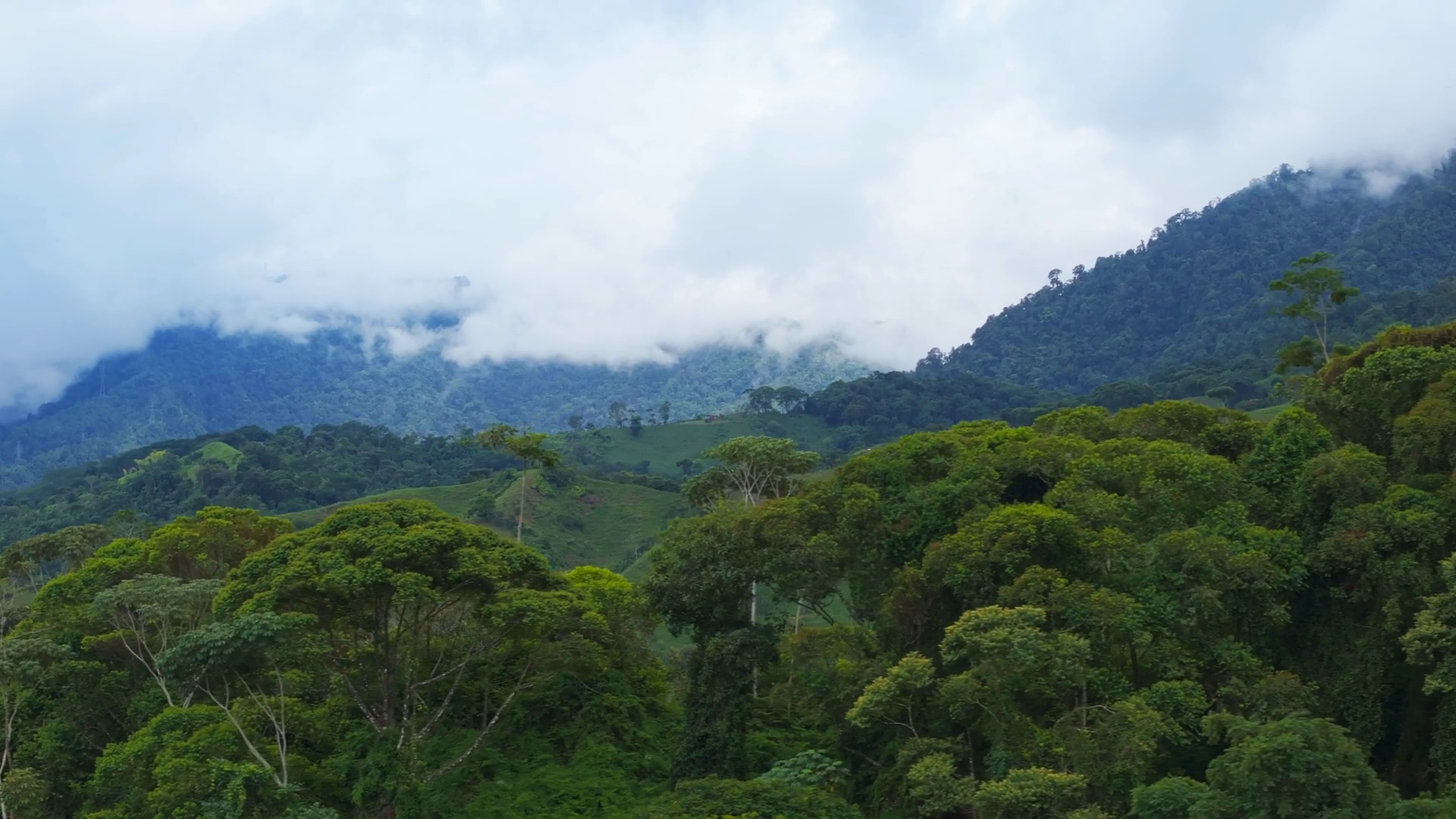 Misty Forests Of Costa Rica Captivating Stock Footage SBV-351811263 ...