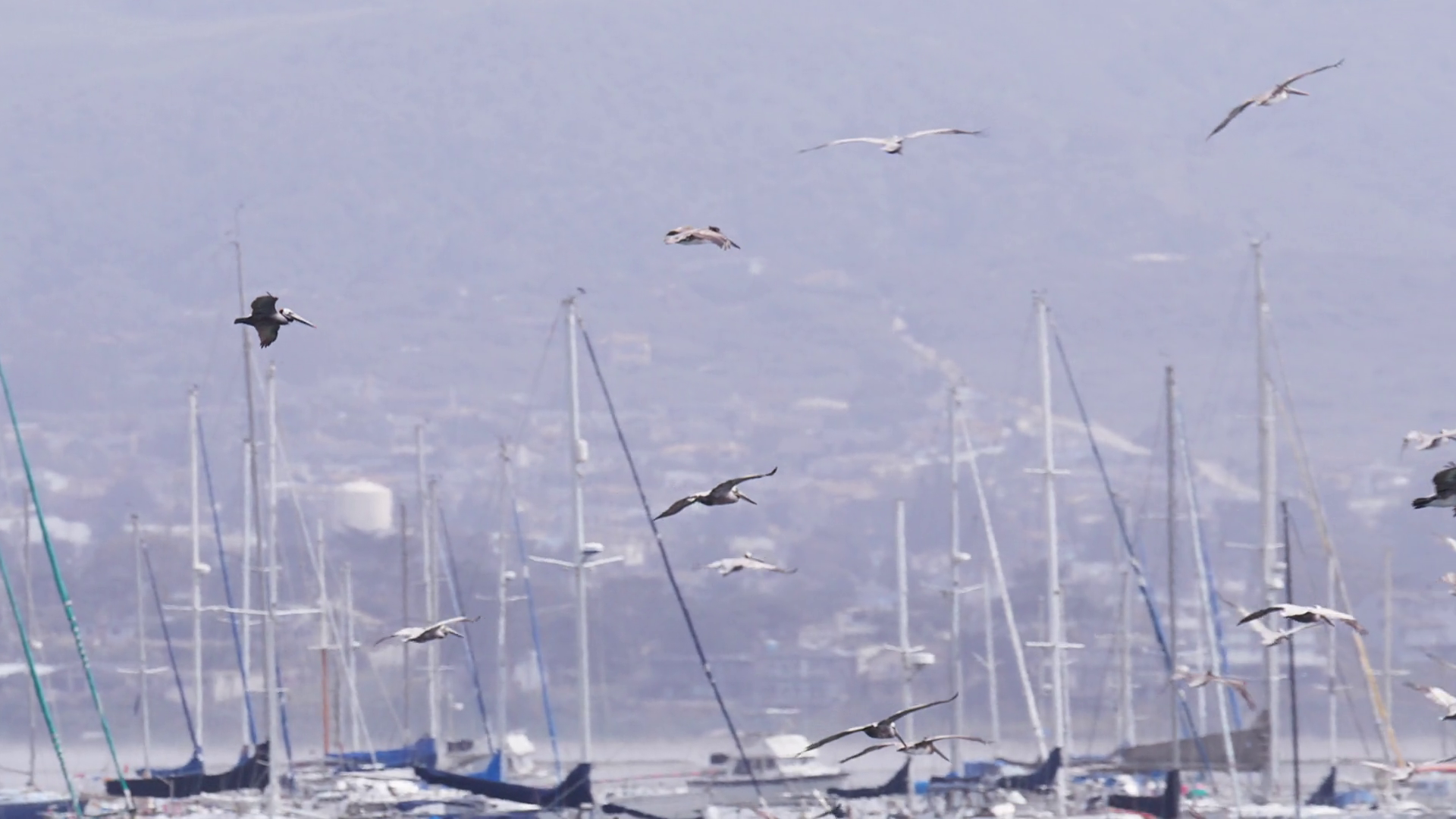 Epic Red Camera Slow Motion Shot Of Wild Sea Stock Footage SBV