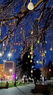 Easter. easter decor. street easter decor. night city. multi-colored colorful Easter eggs decorate the branches of a large tree in the city. night cityscape.
