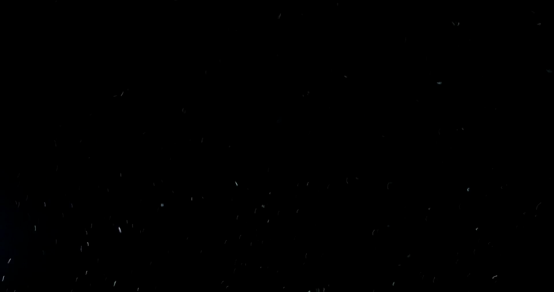 Natural Dust Particles Float On Black Background Dust In Motion Stock