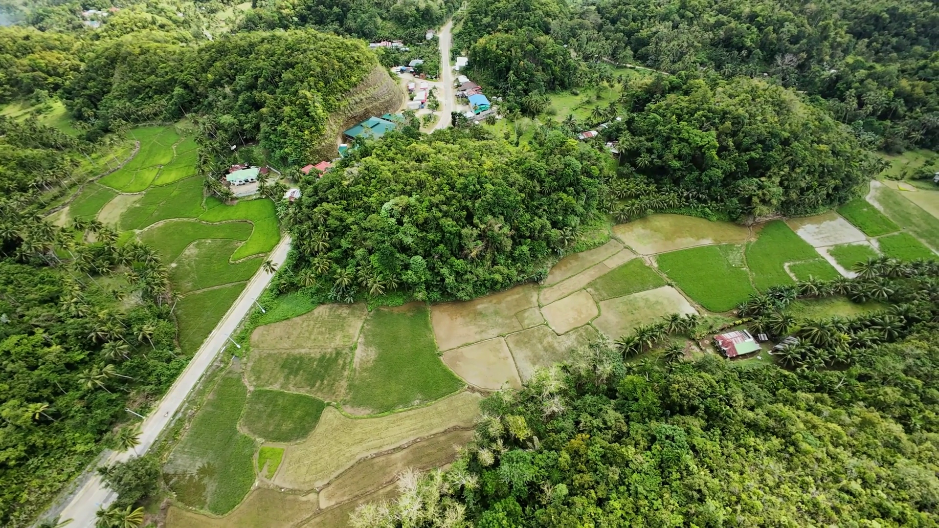 Aerial View Of Lush Green Landscape In Bohol Stock Footage SBV ...