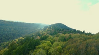 Scenic aerial view of lush green Appalachian Mountains USA under soft sunlight