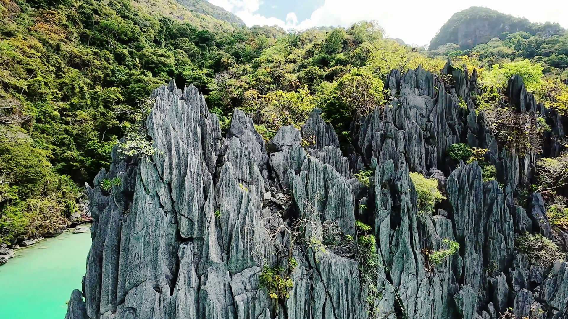 Limestone Cliffs Green Foliage Captured Stock Footage SBV-352522953 ...