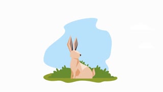 rabbit animal spring season animation