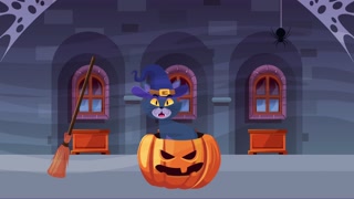 happy halloween animated scene with cat in pumpkin ,4k video animation