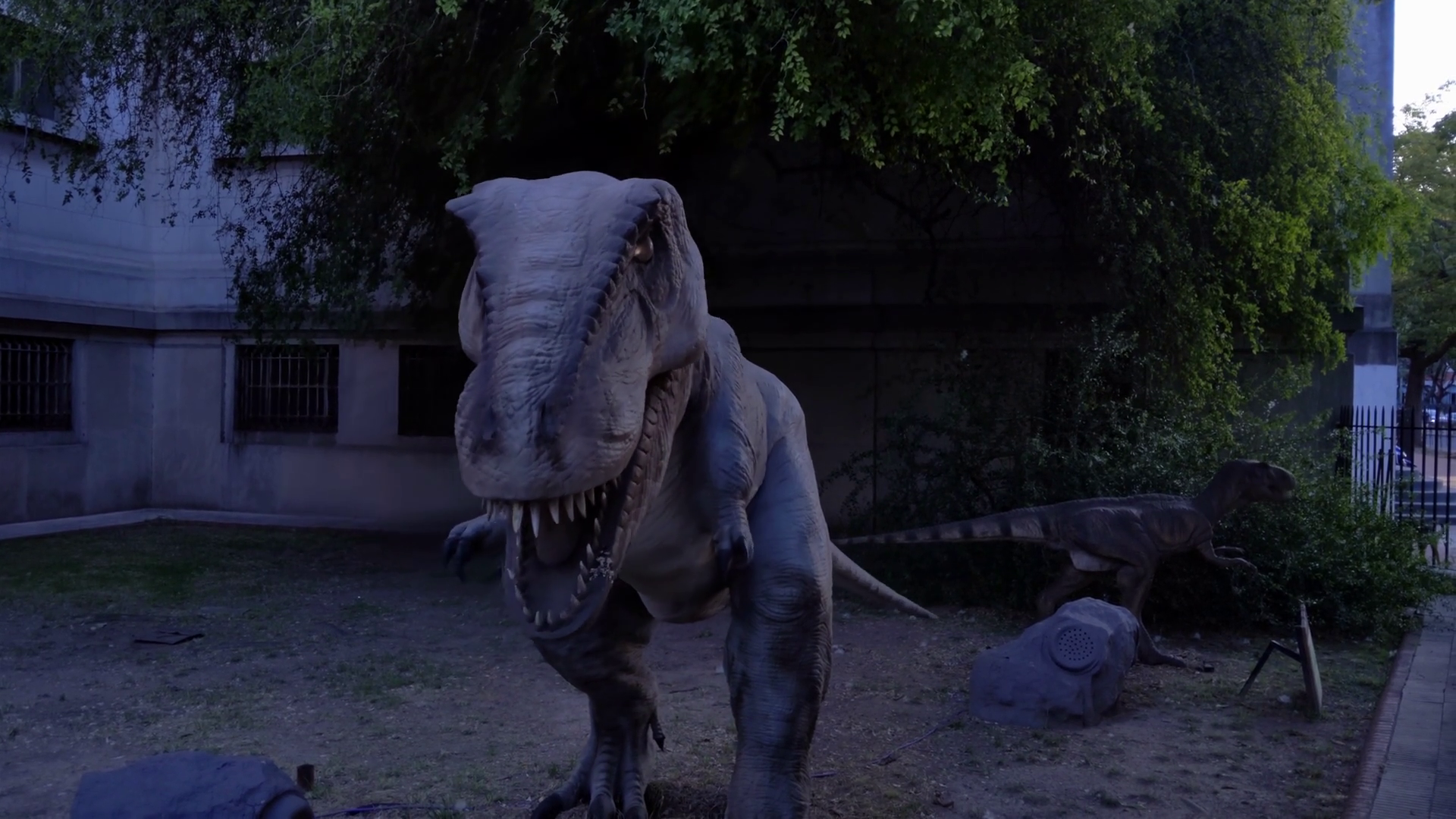 Robotic Tyrannosaurus Rex Moving Stock Footage SBV-352325550 - Storyblocks