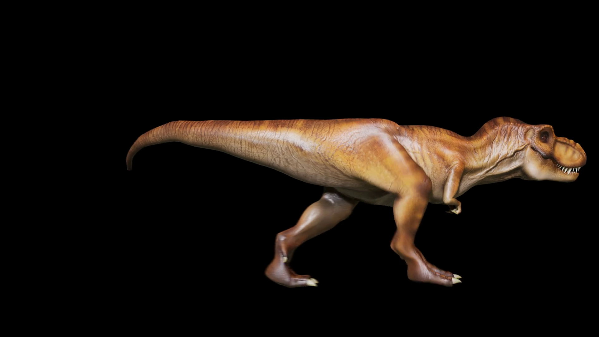 Dinosaur Trex Walks In Looping Seamless Stock Motion Graphics SBV