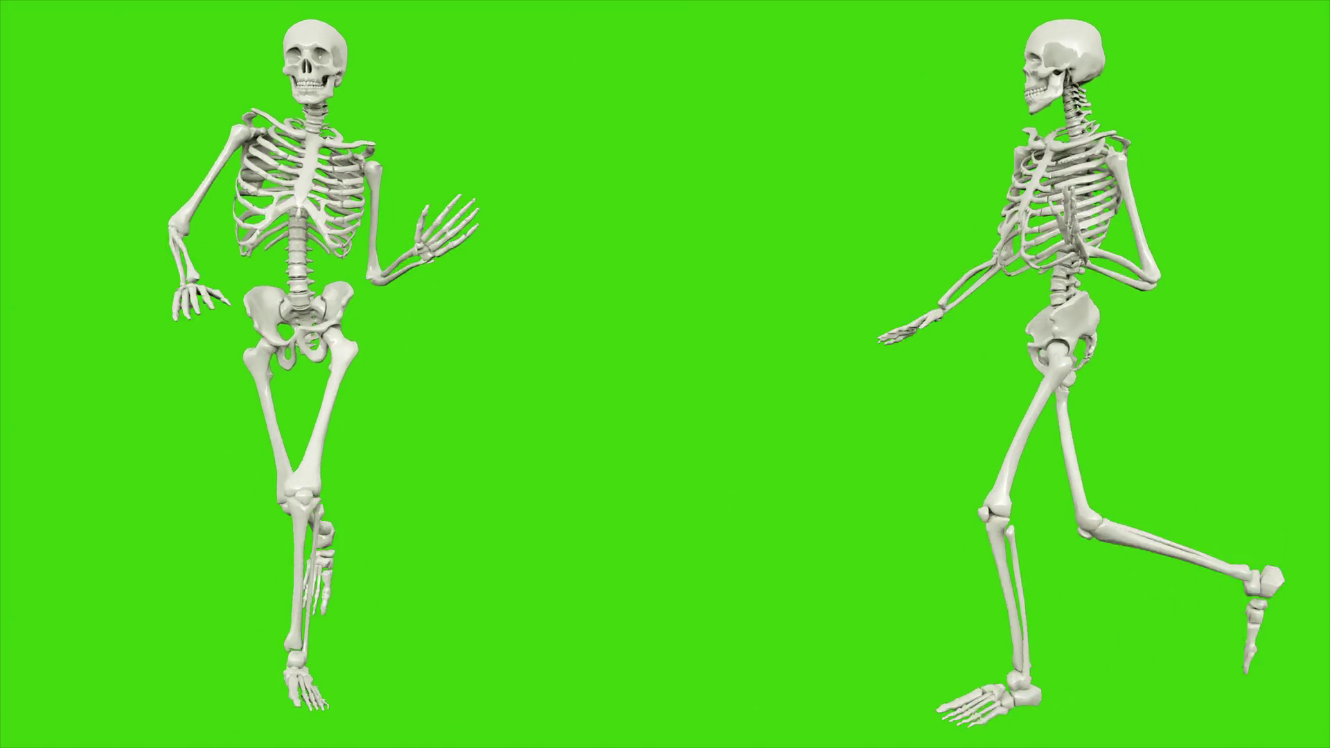 Skeleton Running Seamless Loop Animation On Stock Motion Graphics SBV