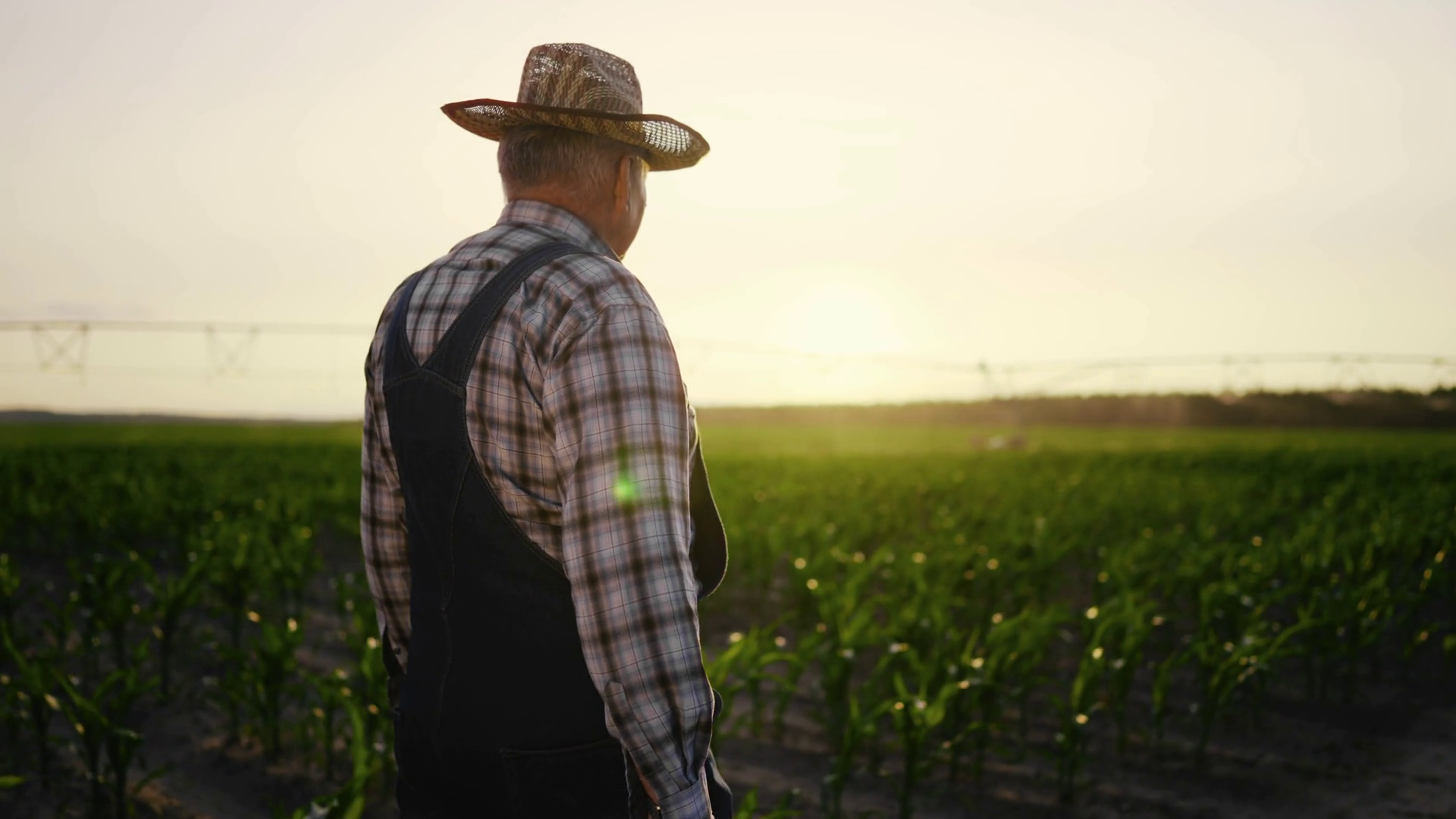 Professional Agriculture Agronomy Farming In Stock Footage SBV ...