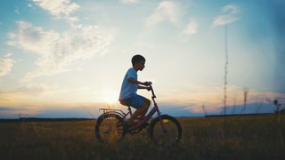 Little boy spending summer vacation in country, child riding bike alone in field. Merry childhood moments, memories for all life, move to
