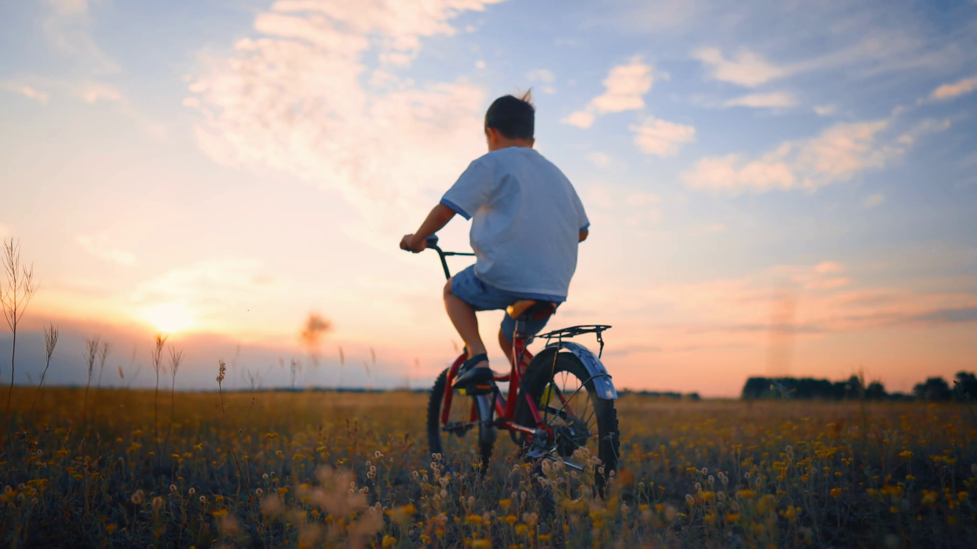 Bike Life Stock Footage: Royalty-Free Video Clips - Storyblocks, image size:1920x1080