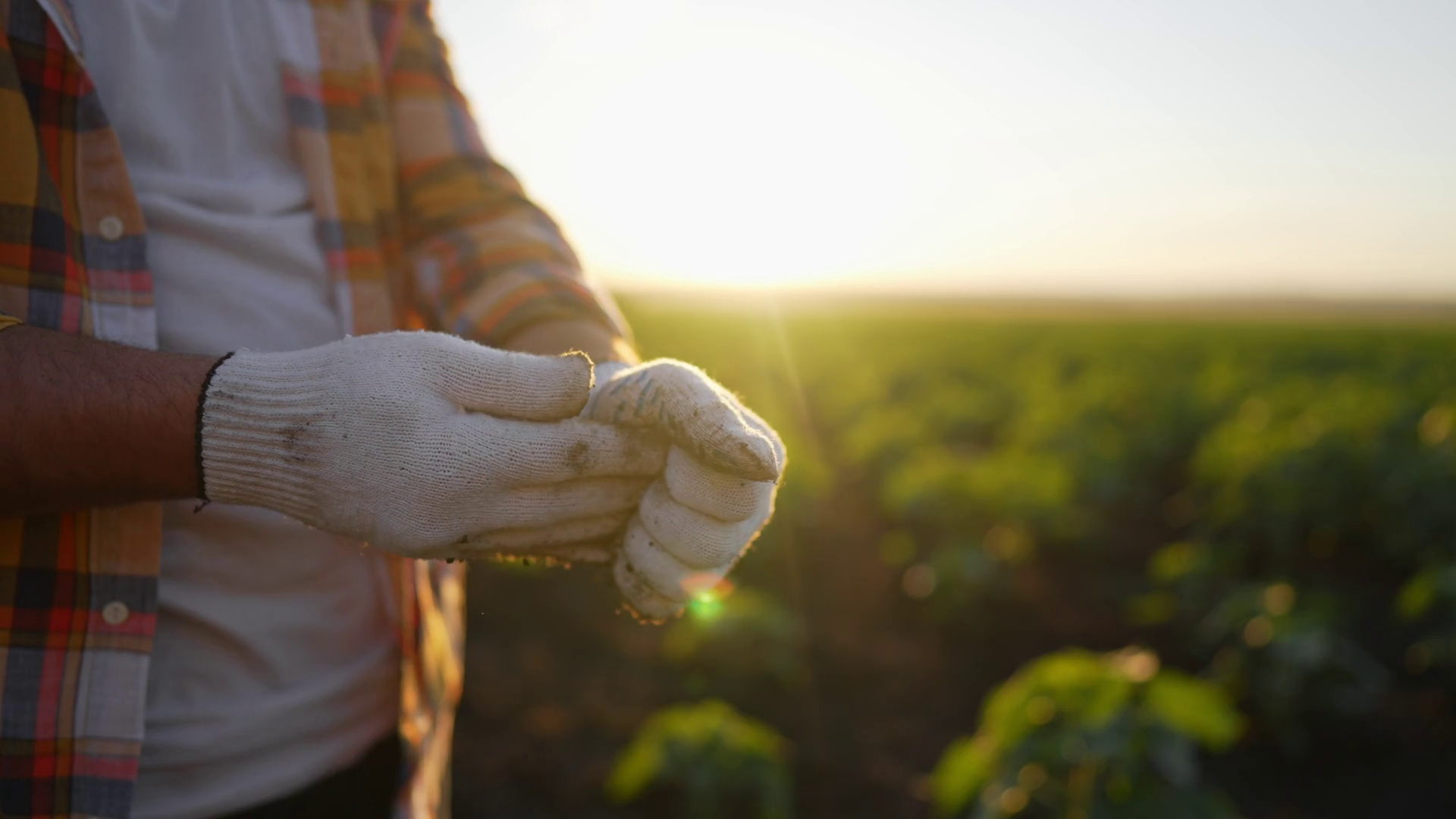 Hand Of Man Farmer Gardener In Working Dirty Stock Footage SBV ...