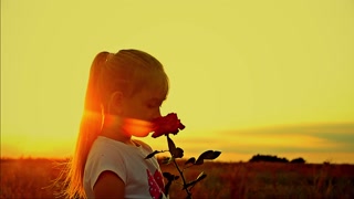Female smelling a rose flower. Love and smell concept.