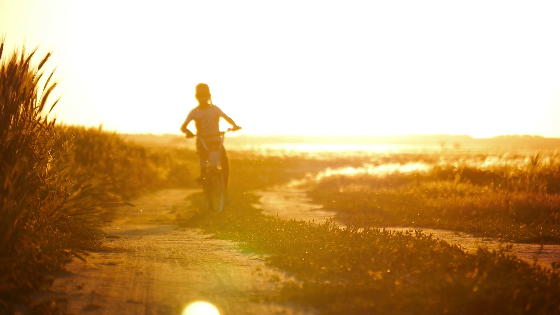 Young Girl Learning To Ride Bicycle Close-up Stock Footage SBV ...
