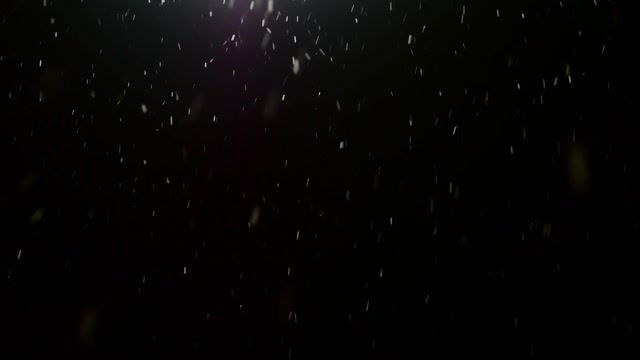 Animated Falling Snow Stock Footage: Royalty-Free Video Clips - Storyblocks
