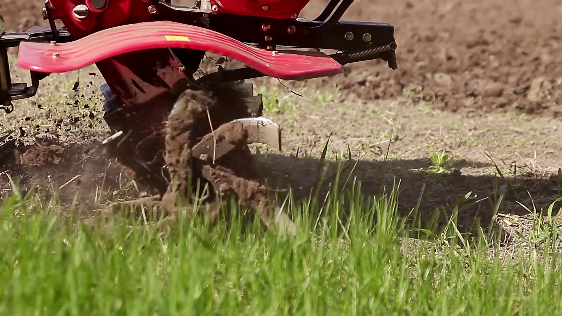 The garden tiller to work close up, walkbehind tractor Stock Video