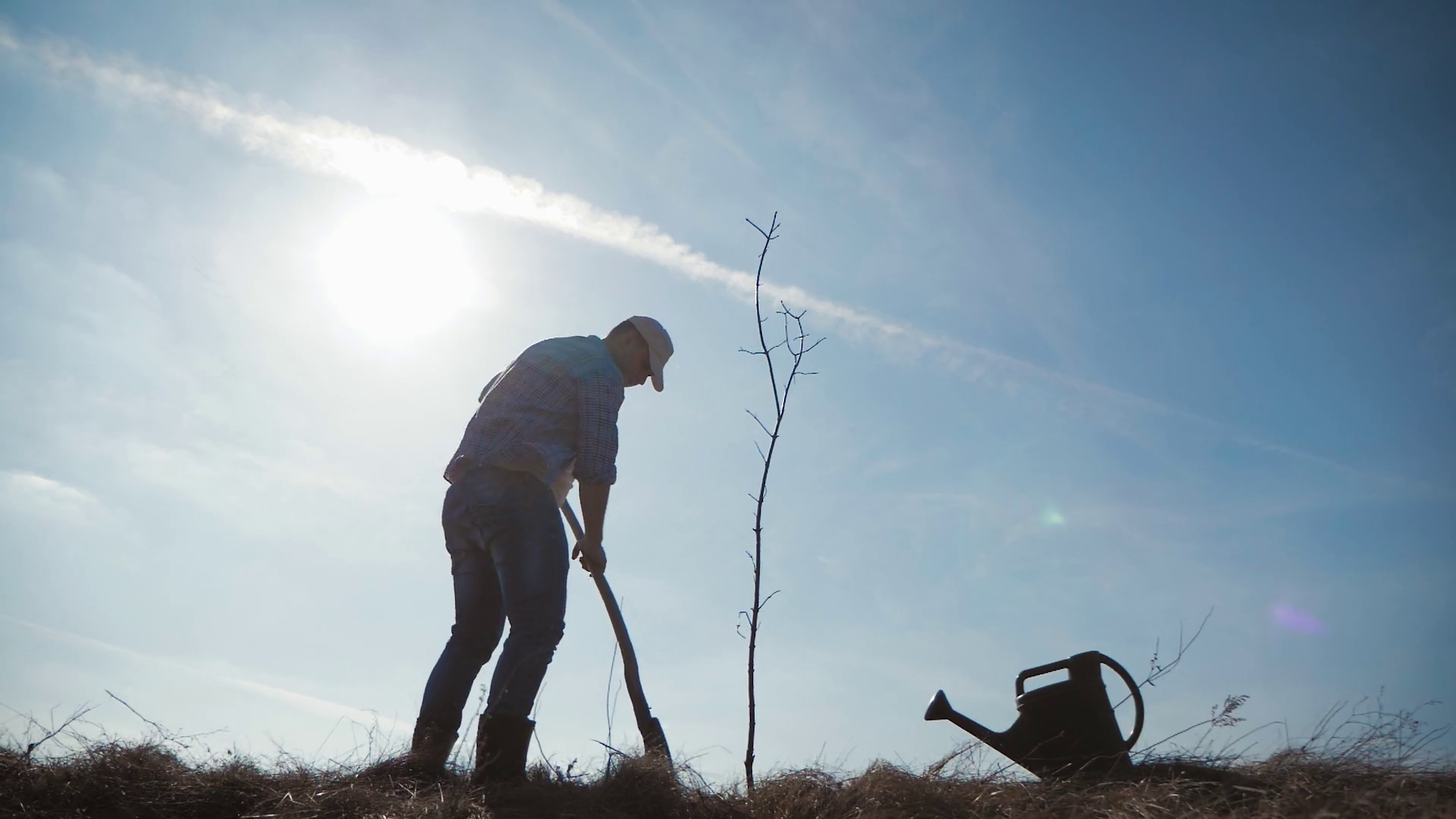 Young man planting a tree in spring. Gardener set young fruit tree