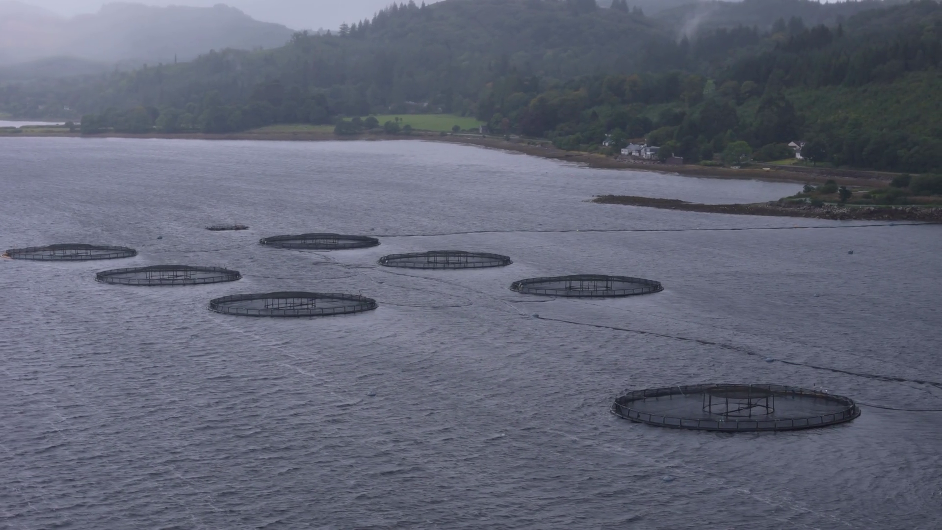Aerial View Over Fish Farm On Large Loch In Stock Footage SBV-351855601 ...