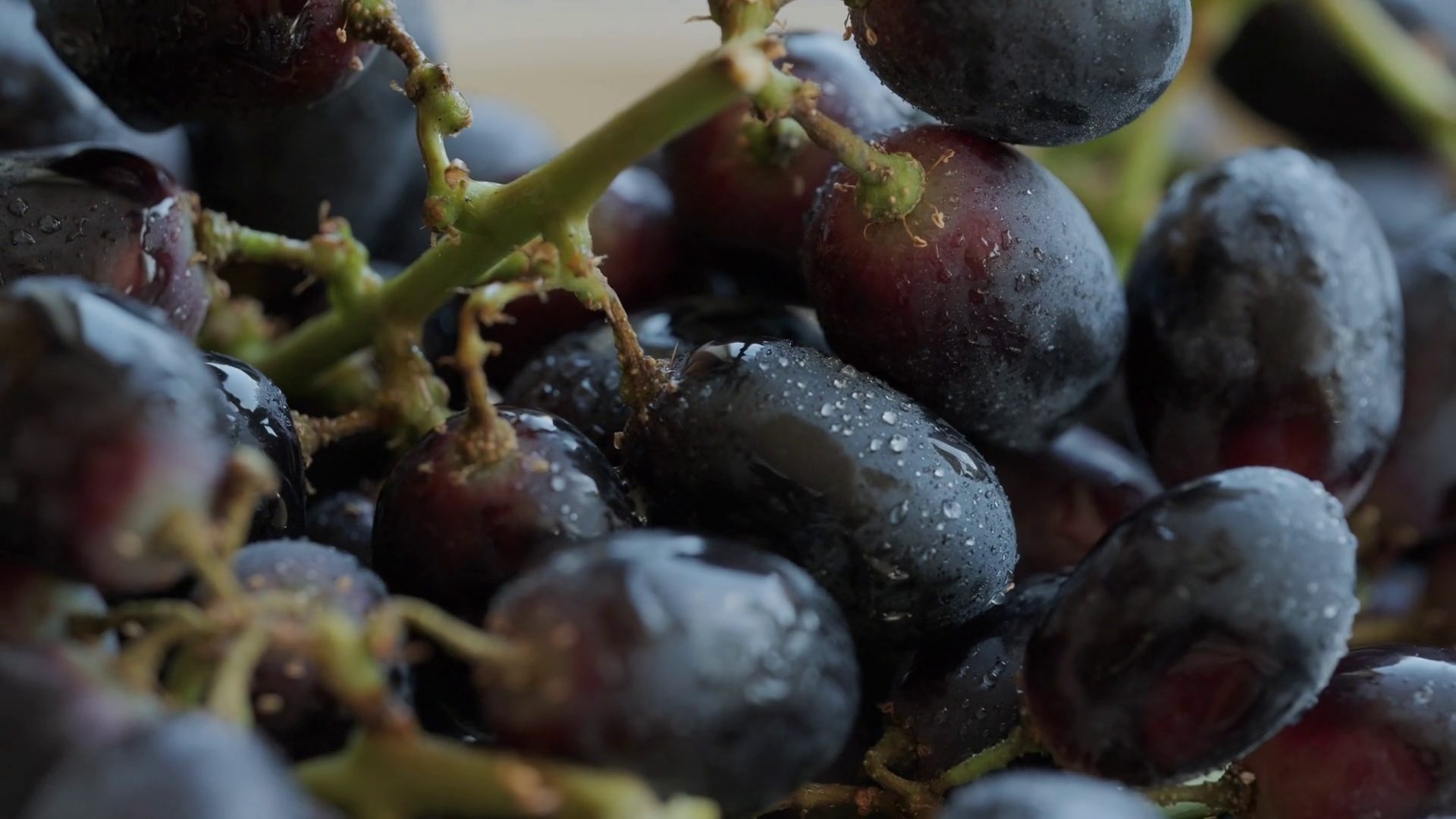 Bunch Of Grapes Close Up Rotating Fresh Stock Footage SBV-351862642 ...