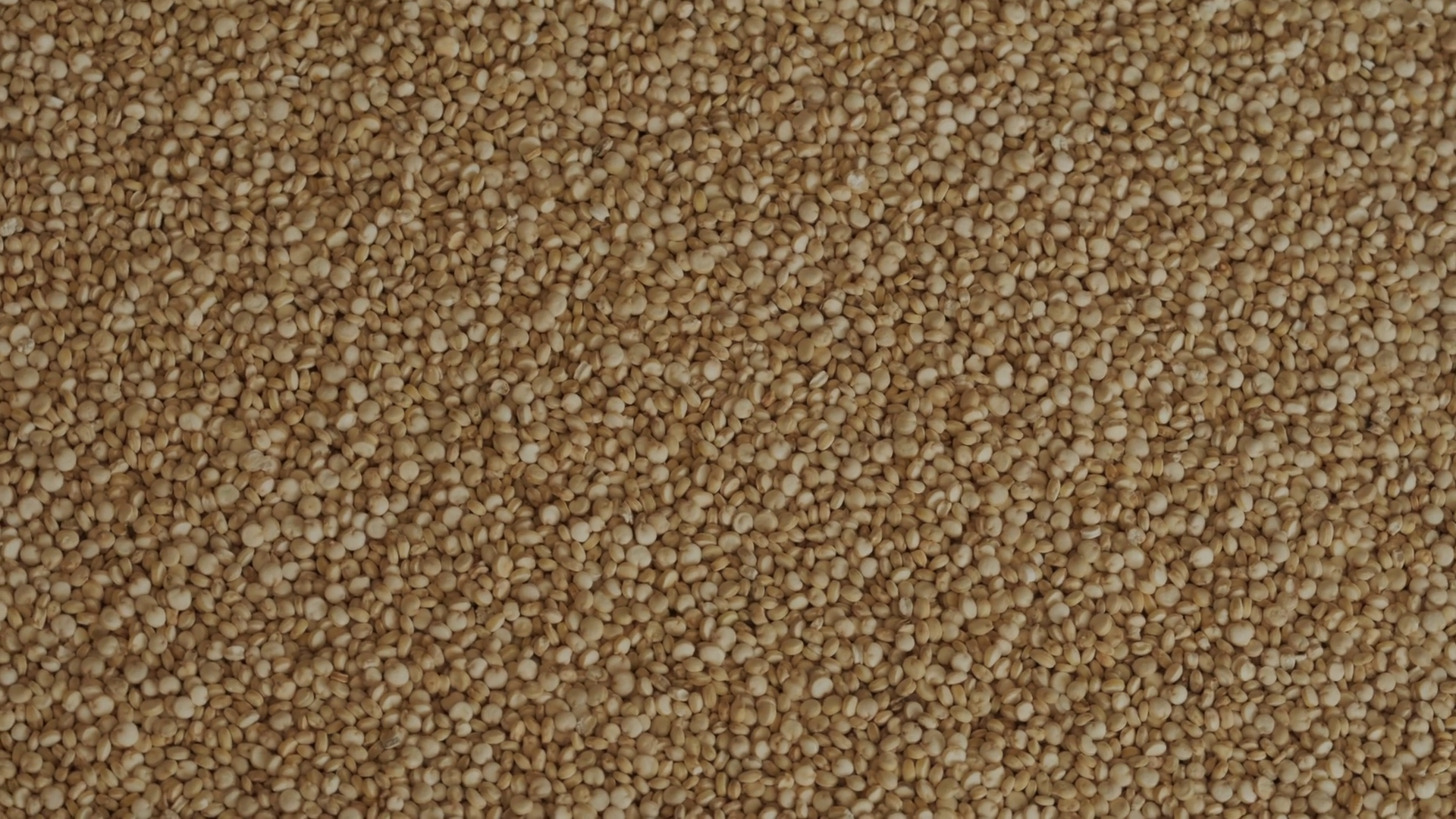 Pile Of Raw Quinoa Seeds Background Rotating Stock Footage SBV ...