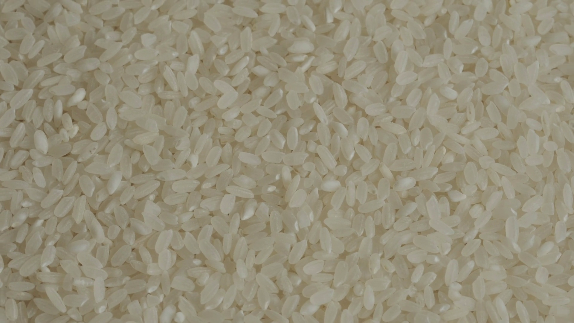Uncooked Sushi Rice Background Rotating Stock Footage SBV-351859474 ...