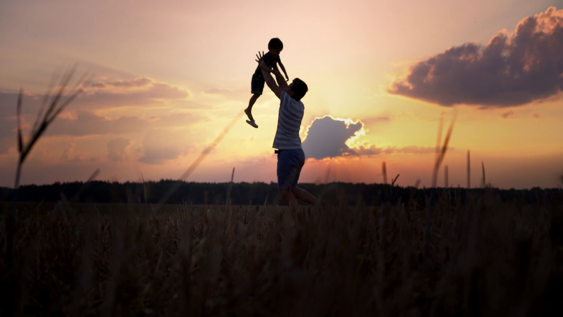 Father and son run to the sunset. The father raises the child in his ...
