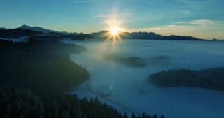 Cinematic Aerial Drone View of Winter Forest Woodland Landscape