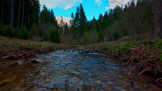 Low aerial drone shot gliding through a magical forest, over a clear freshwater creek with moss-covered green stones, lush foliage, and