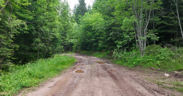 The Back Road Stock Footage: Royalty-Free Video Clips - Storyblocks