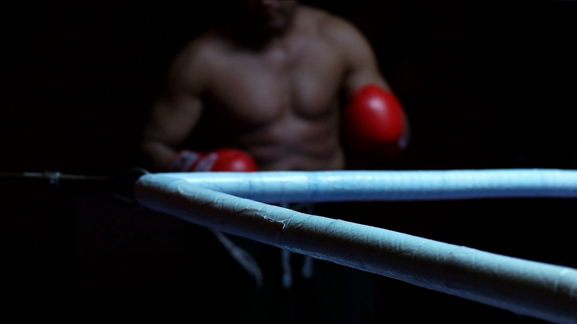 Boxer Ready For A Fight Stock Video Footage 0033 SBV318449838 Storyblocks