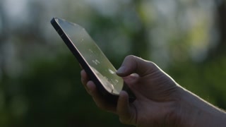 Young man using his phone on a sunny summer day in the forest