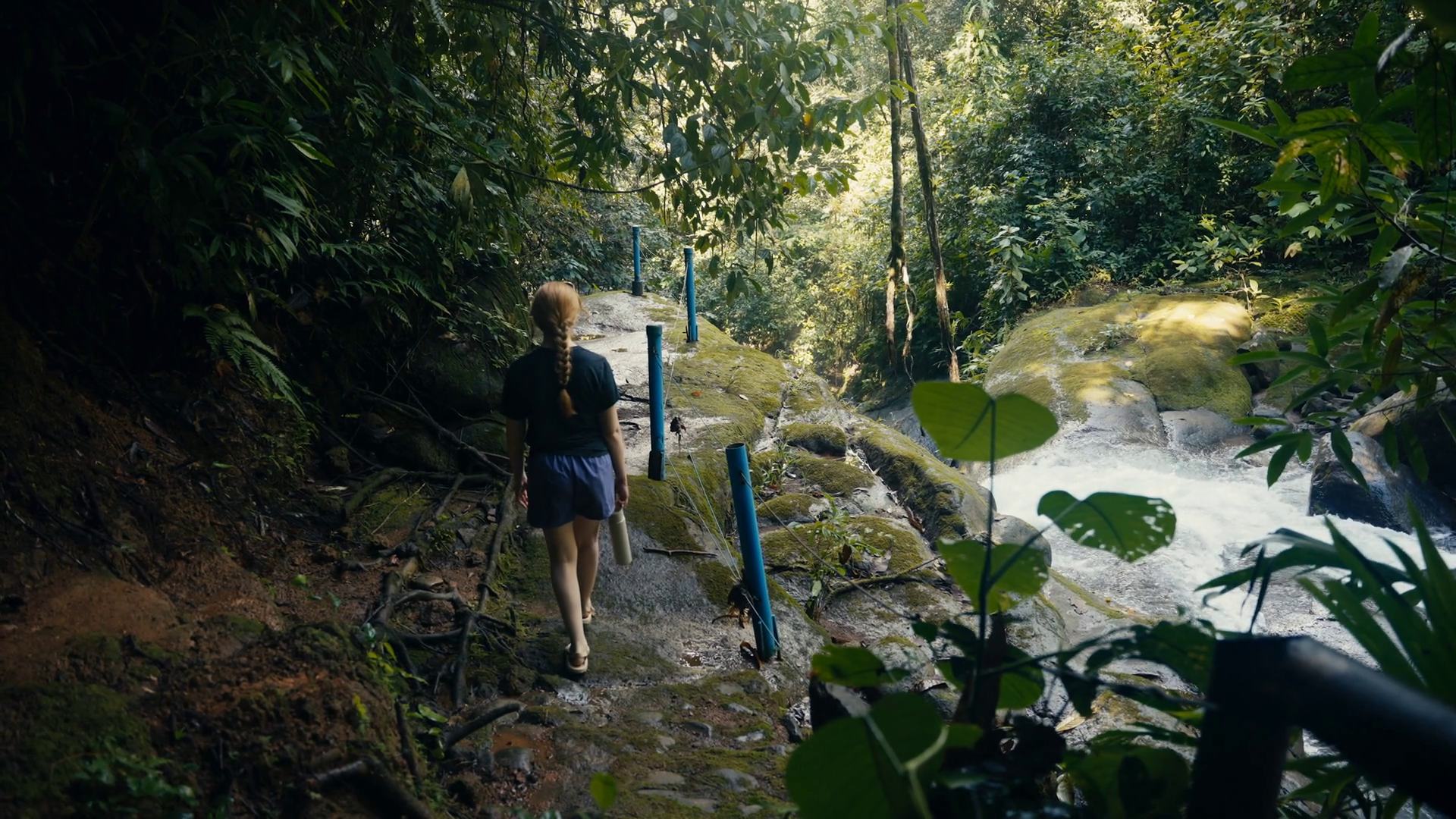 Young Woman Hiking In Tropical Rainforest Stock Footage SBV-352099330 ...