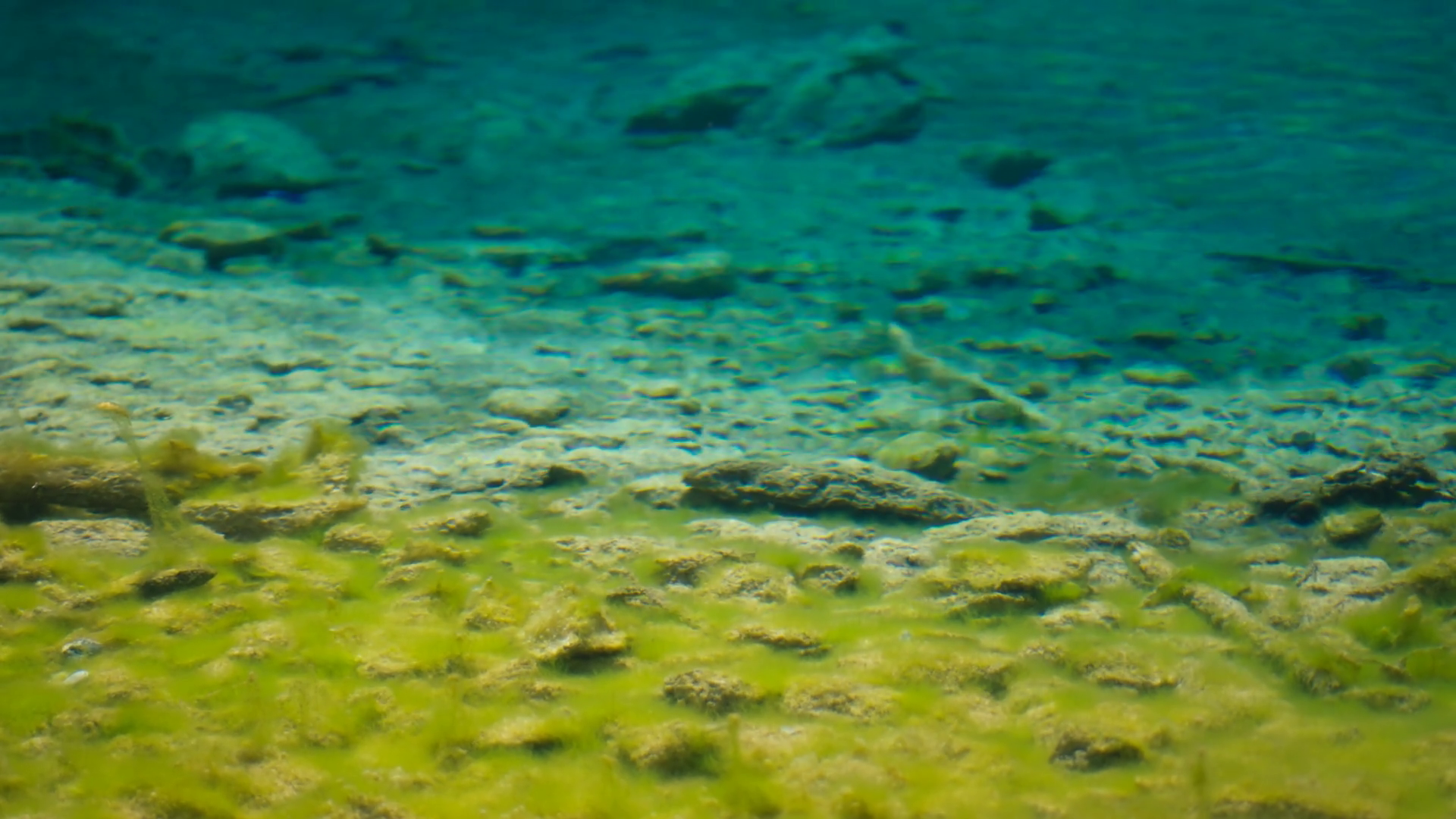 Clean Transparent Green Yellow Water Of Stock Footage SBV-352494745 ...