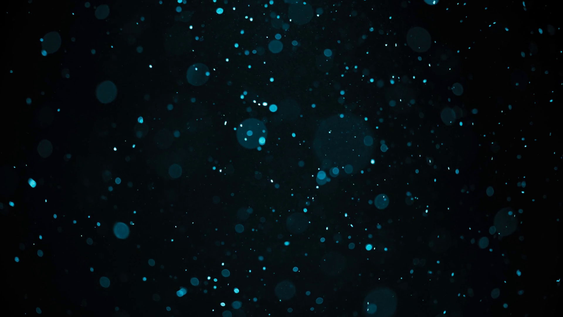 Turquoise Colored Dust Bokeh Particles Stock Footage SBV 347233575 