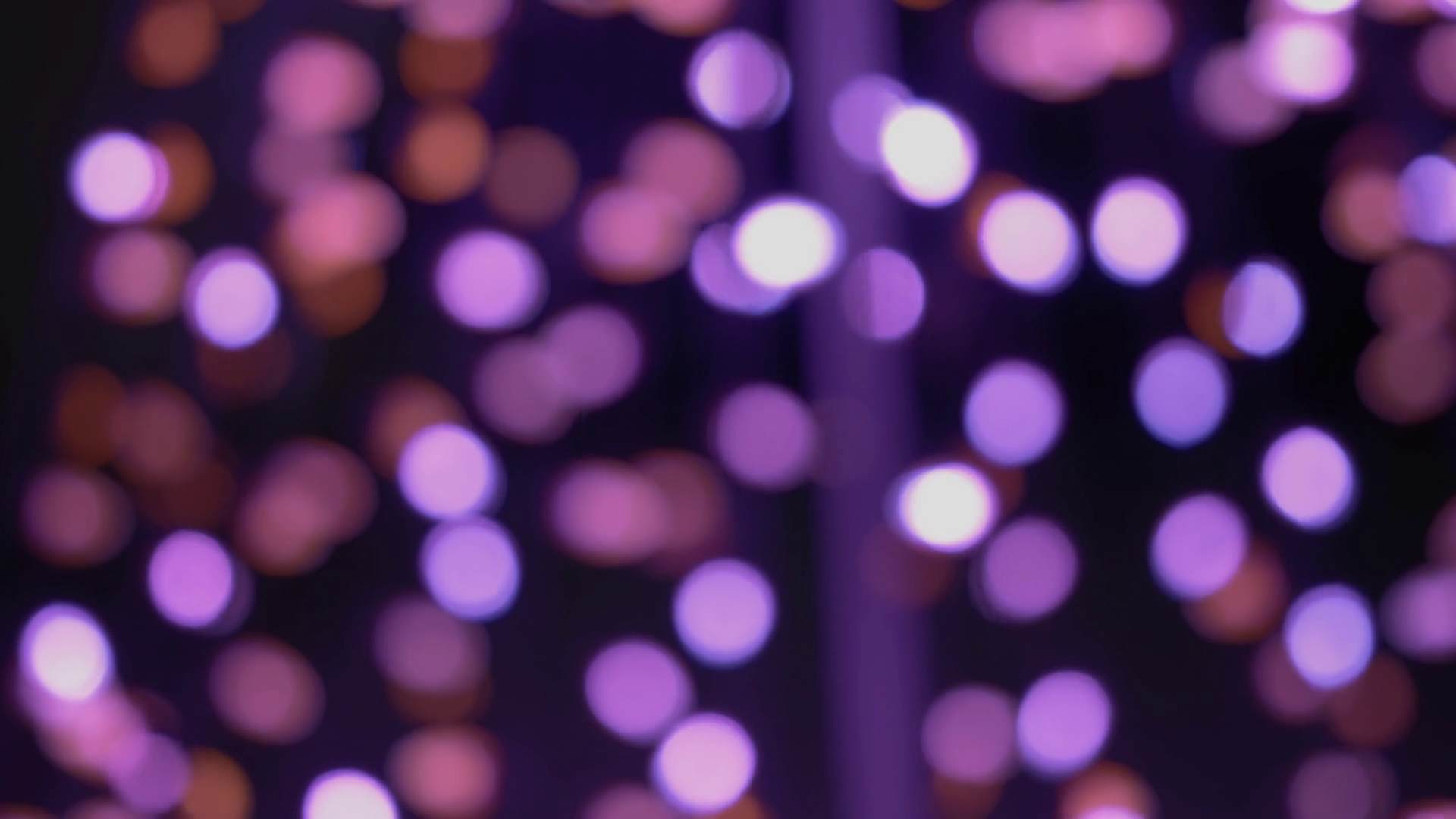 Purple Christmas Lights Garland At Night Stock Footage SBV348657029
