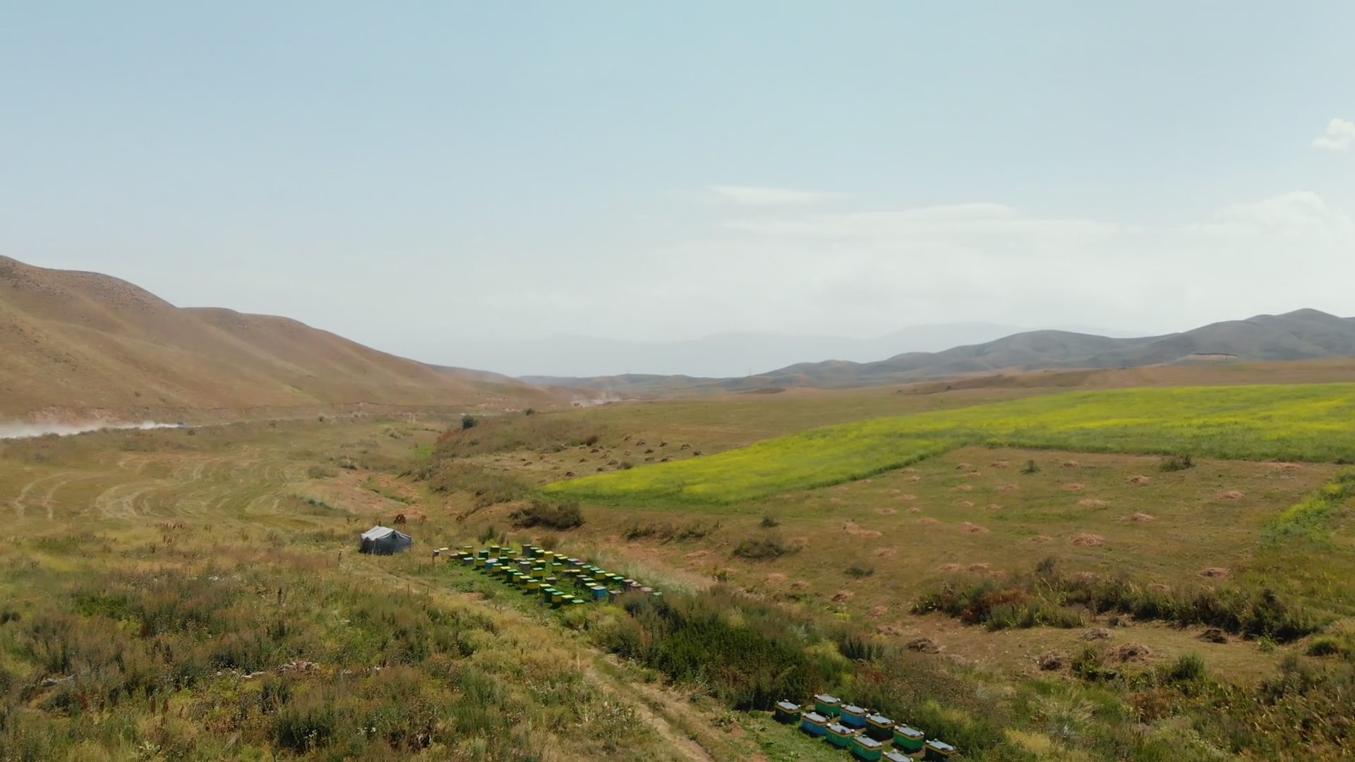 Aerial View Of Apiaries In Meadow With Stock Footage SBV-351920383 ...