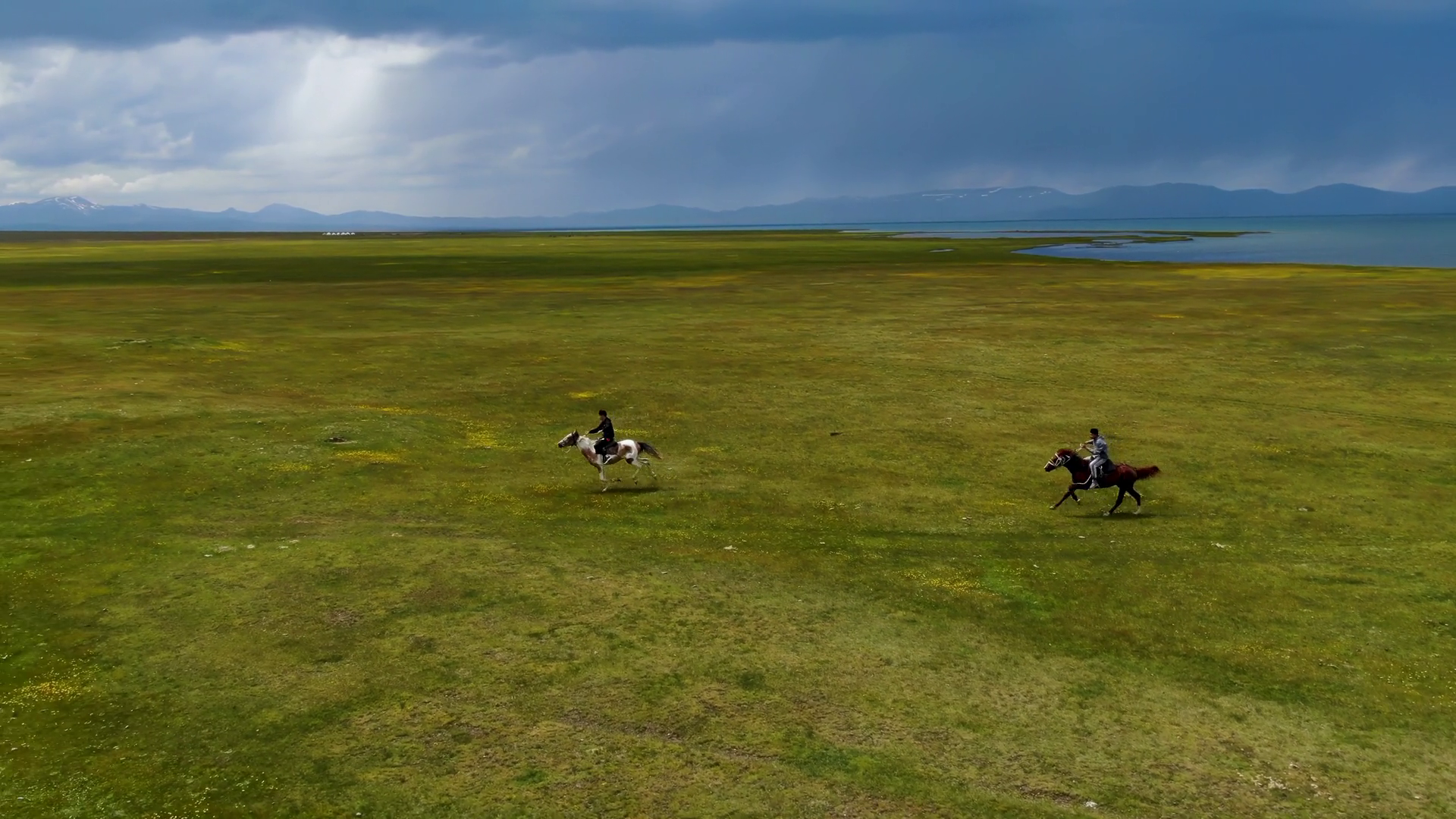 Aerial View Of Horse Riders On Green Meadow Stock Footage SBV-351921527 ...