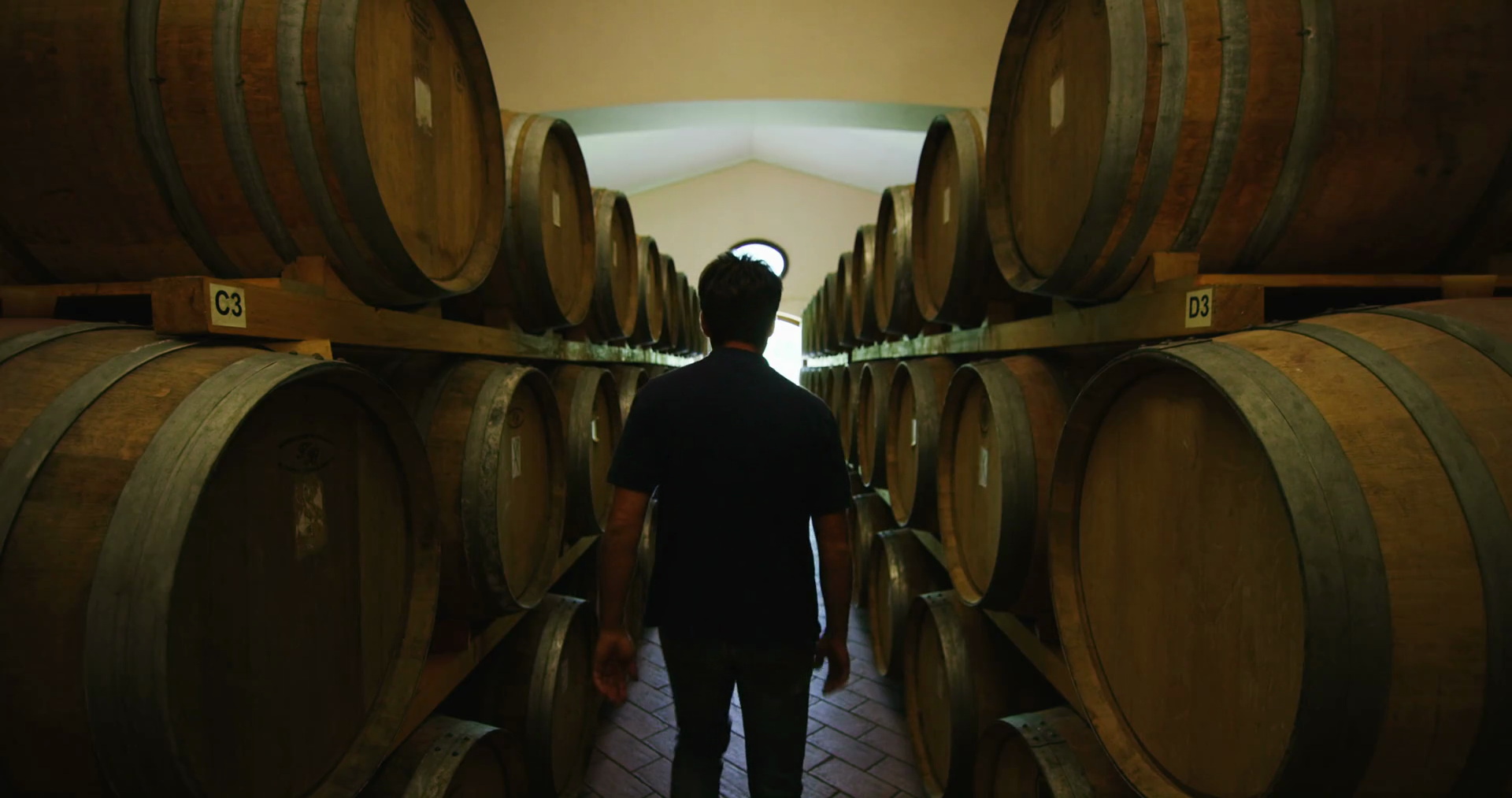 Wine Making In Italy Stock Footage SBV348702316 Storyblocks