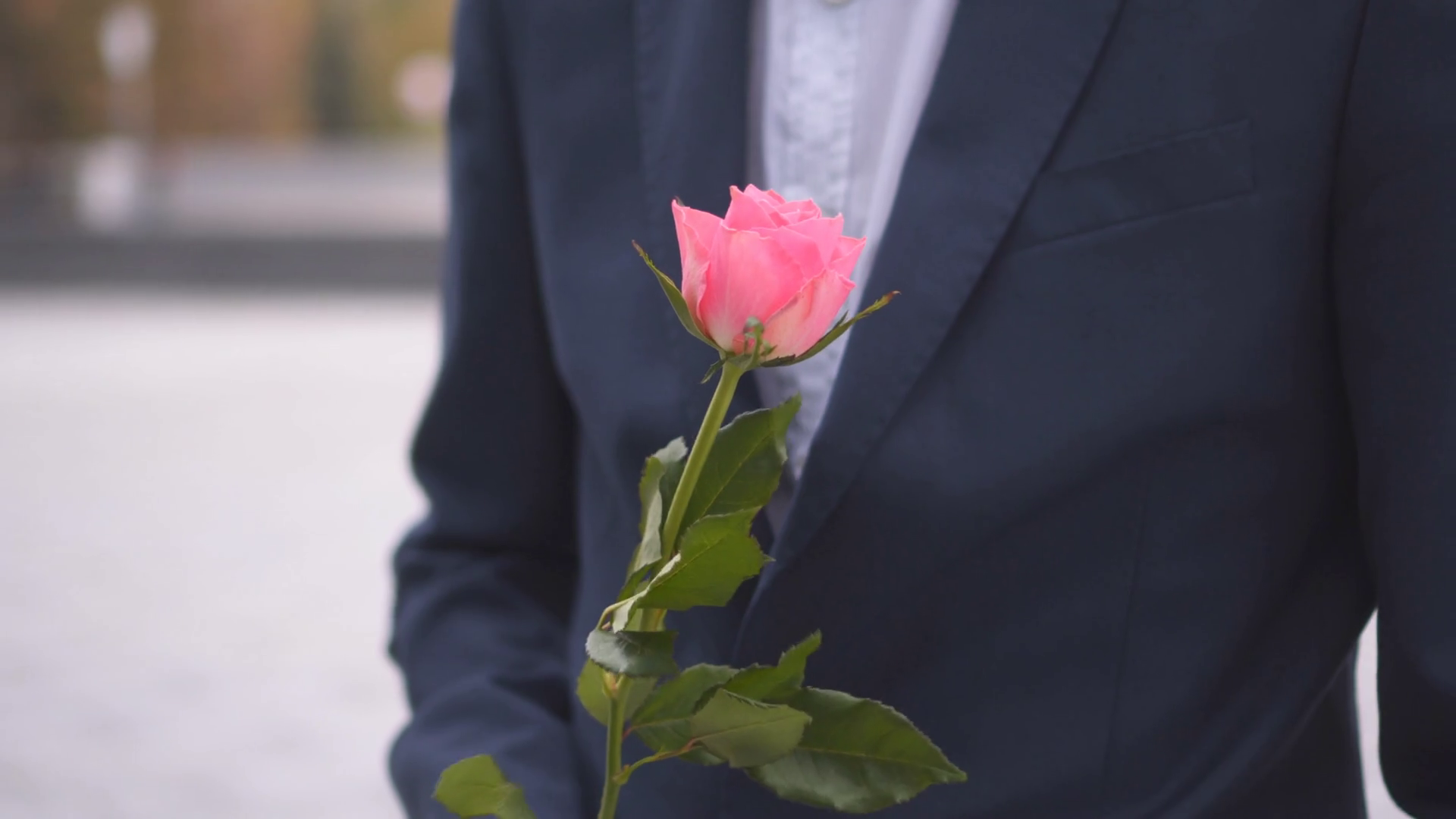 Man Holding Rose Flower Stock Footage SBV328470800 Storyblocks