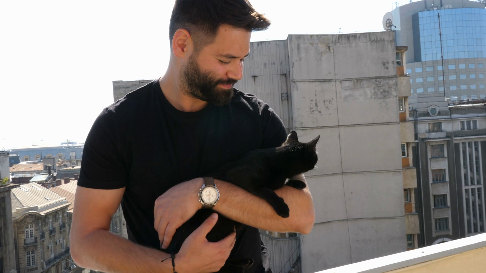 videoblocks-bearded-hipster-guy-holding-a-big-beautiful-black-cat-in-hands-on-the-terrace-with-a-view-on-the-city_sqpco1agf_thumbnail-1080_01.png