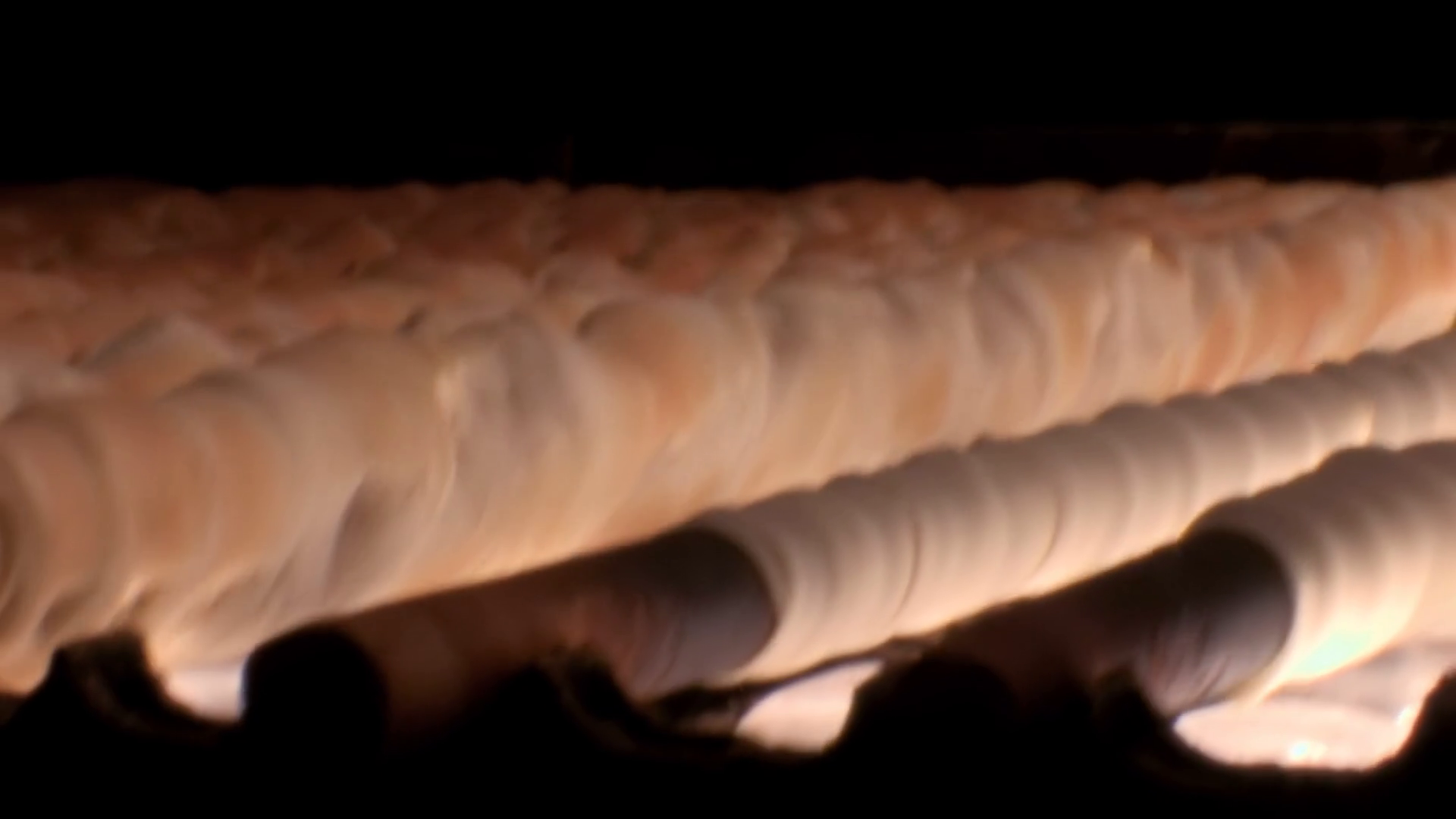 Rows Of Traditional Japanese Pastry Dough Stock Footage SBV-352111715 ...