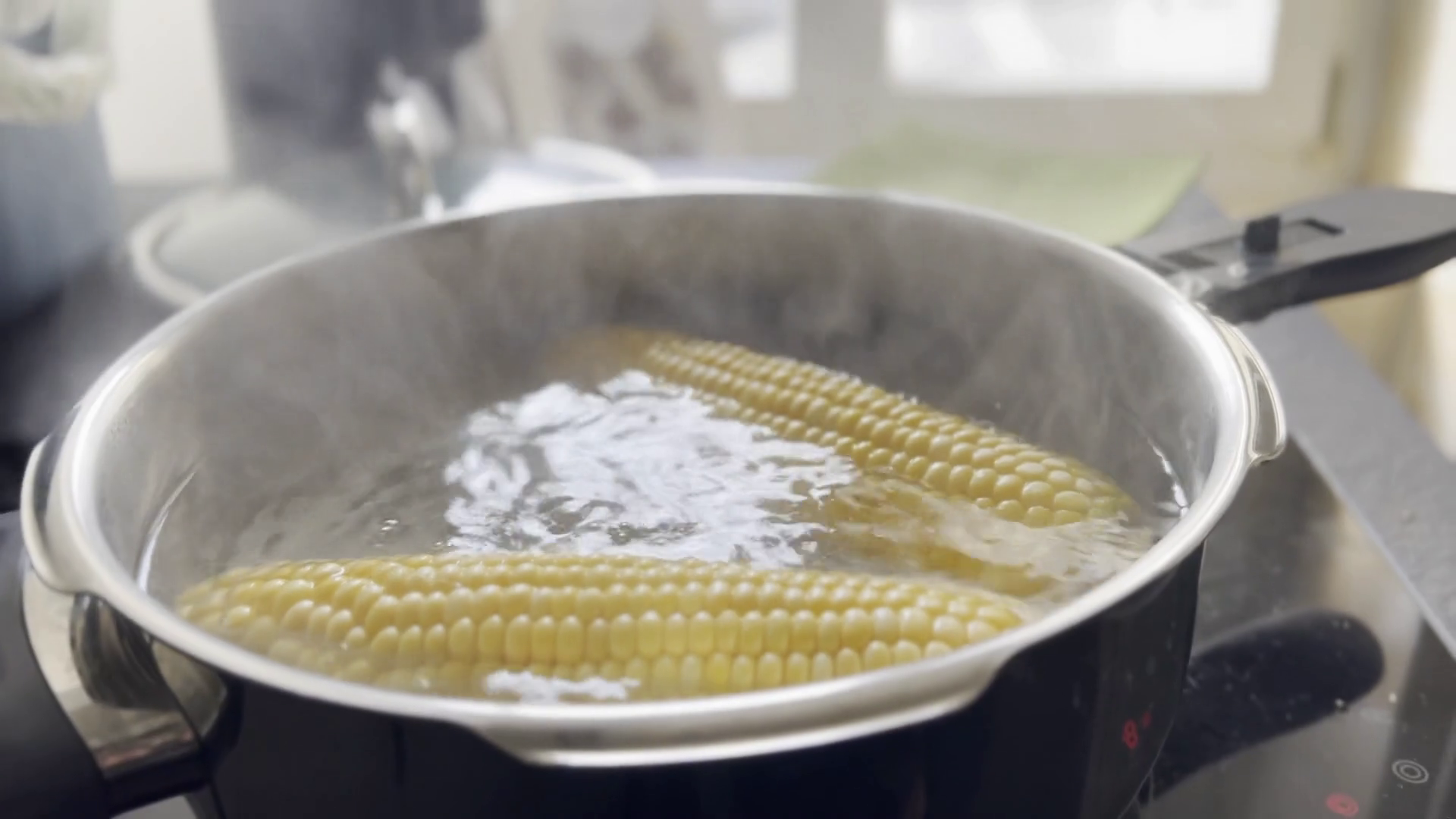 Comfort Cooking Boiling Corn In Pot Of Water Stock Footage SBV