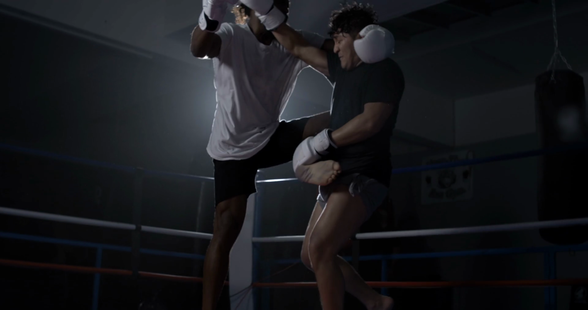 Fighter Defeating Opponent In Takedown Stock Footage SBV-348605362 ...
