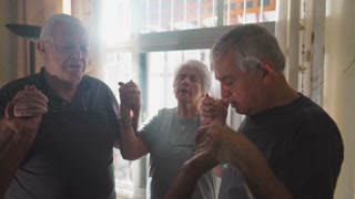 Faithful Elderly Group Praying at Home with Sunlight Shining Through Window. Four HOPEFUL Seniors Engaged in Prayer, Holding Hands having GRATITUDE and DEVOTION