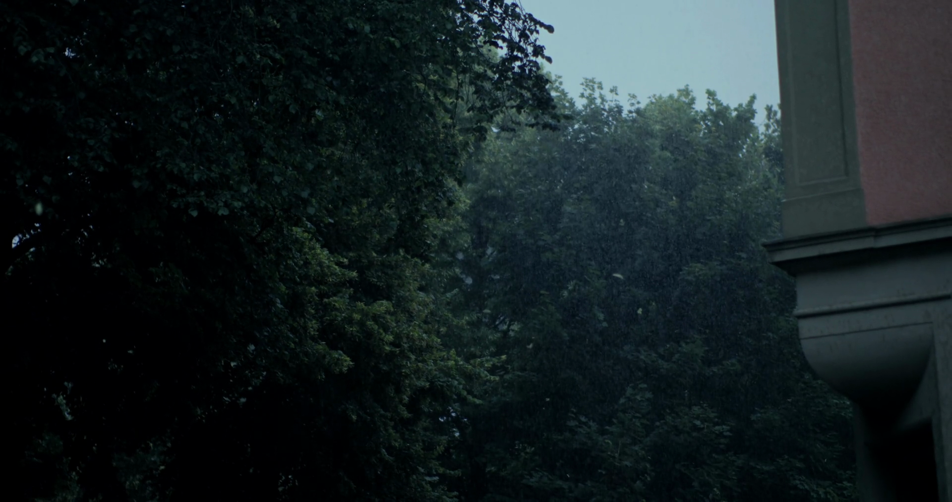 Heavy Rain Falls Through Dense Green Trees Stock Footage SBV-352355725 ...