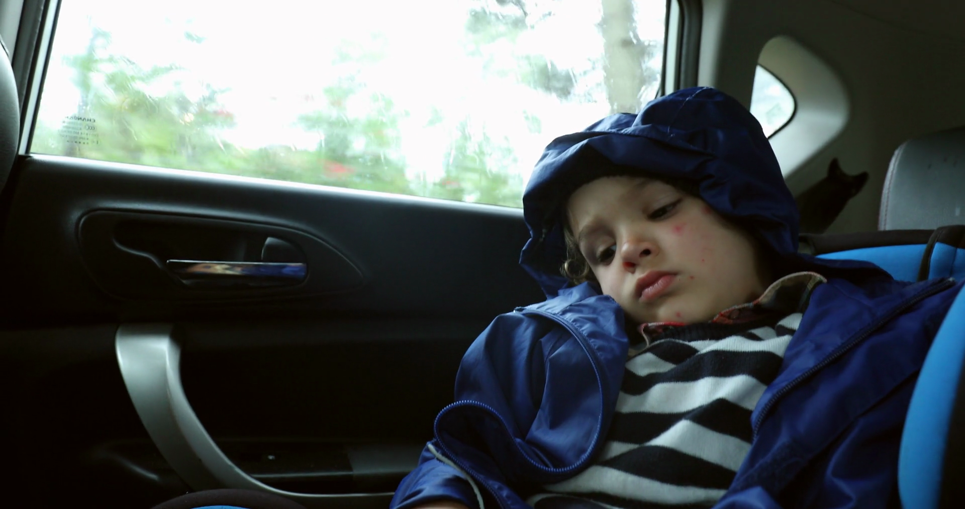 Passenger Little Boy In Back Seat Of Car Stock Footage SBV-352404211 ...