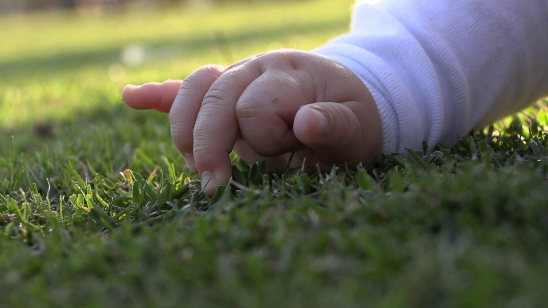 Nature's Touch: Closeup Of Small Baby Hand Stock Footage SBV-348422959 ...