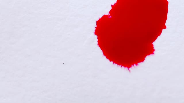 Closeup Shot Of Blood Falling From Syringe On White Background Stock ...